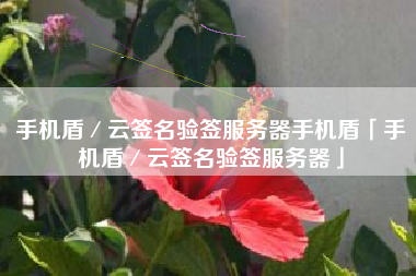 手机盾／云签名验签服务器手机盾「手机盾／云签名验签服务器」