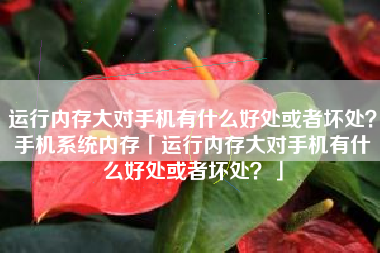 运行内存大对手机有什么好处或者坏处？手机系统内存「运行内存大对手机有什么好处或者坏处？」