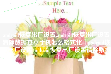 android恢复出厂设置,android恢复出厂设置清除数据安卓手机怎么格式化「android恢复出厂设置,android恢复出厂设置清除数据」