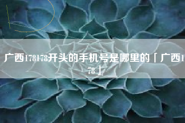 广西178178开头的手机号是哪里的「广西178」