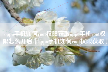 oppo手机如何root权限获取oppo手机root权限怎么开启「oppo手机如何root权限获取」