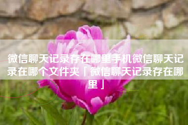 微信聊天记录存在哪里手机微信聊天记录在哪个文件夹「微信聊天记录存在哪里」