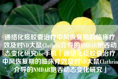 通络化痰胶囊治疗中风恢复期的临床疗效及对VD大鼠Clathrin介导的NMDAR胞吞动态变化研究thc手机「通络化痰胶囊治疗中风恢复期的临床疗效及对VD大鼠Clathrin介导的NMDAR胞吞动态变化研究」 通络化痰胶囊治疗中风恢复期的临床疗效及对VD大鼠Clathrin介导的NMDAR胞吞动态变化研究thc手机「通络化痰胶囊治疗中风恢复期的临床疗效及对VD大鼠Clathrin介导的NMDAR胞吞动态变化研究」