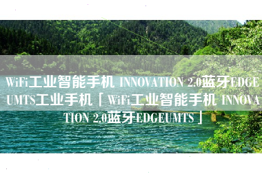 WiFi工业智能手机 INNOVATION 2.0蓝牙EDGEUMTS工业手机「WiFi工业智能手机 INNOVATION 2.0蓝牙EDGEUMTS」