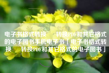 电子书格式转换 – 转换PDF和其它格式的电子图书手机电子书「电子书格式转换 – 转换PDF和其它格式的电子图书」