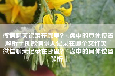 微信聊天记录在哪里？C盘中的具体位置解析手机微信聊天记录在哪个文件夹「微信聊天记录在哪里？C盘中的具体位置解析」