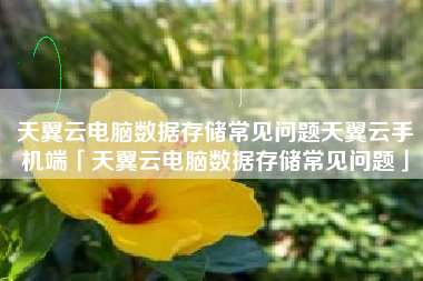 天翼云电脑数据存储常见问题天翼云手机端「天翼云电脑数据存储常见问题」