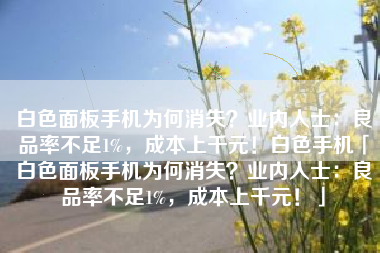 白色面板手机为何消失？业内人士：良品率不足1%，成本上千元！白色手机「白色面板手机为何消失？业内人士：良品率不足1%，成本上千元！」