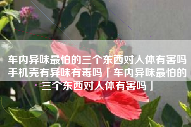 车内异味最怕的三个东西对人体有害吗手机壳有异味有毒吗「车内异味最怕的三个东西对人体有害吗」