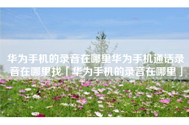 华为手机的录音在哪里华为手机通话录音在哪里找「华为手机的录音在哪里」