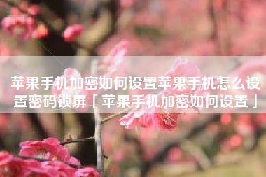 苹果手机加密如何设置苹果手机怎么设置密码锁屏「苹果手机加密如何设置」