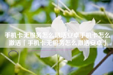 手机卡无服务怎么激活安卓手机卡怎么激活「手机卡无服务怎么激活安卓」