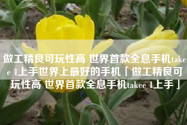 做工精良可玩性高 世界首款全息手机takee 1上手世界上最好的手机「做工精良可玩性高 世界首款全息手机takee 1上手」