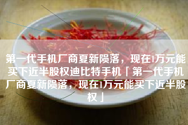 第一代手机厂商夏新陨落，现在1万元能买下近半股权迪比特手机「第一代手机厂商夏新陨落，现在1万元能买下近半股权」
