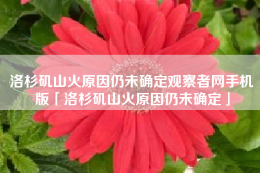 洛杉矶山火原因仍未确定观察者网手机版「洛杉矶山火原因仍未确定」