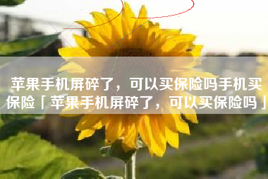 苹果手机屏碎了,可以买保险吗手机买保险「苹果手机屏碎了,可以买保险吗」 苹果手机屏碎了,可以买保险吗手机买保险「苹果手机屏碎了,可以买保险吗」