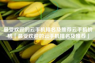 最受欢迎的云手机排名及推荐云手机价格「最受欢迎的云手机排名及推荐」