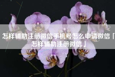 怎样辅助注册微信手机号怎么申请微信「怎样辅助注册微信」