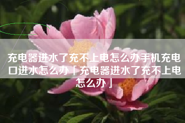 充电器进水了充不上电怎么办手机充电口进水怎么办「充电器进水了充不上电怎么办」