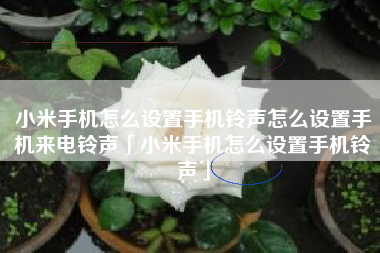 小米手机怎么设置手机铃声怎么设置手机来电铃声「小米手机怎么设置手机铃声」