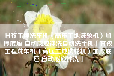 甘孜工程洗车机（高压工地洗轮机）加厚底座 自动感应冲洗自动洗手机「甘孜工程洗车机（高压工地洗轮机）加厚底座 自动感应冲洗」