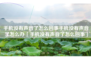 手机没有声音了怎么回事手机没有声音了怎么办「手机没有声音了怎么回事」