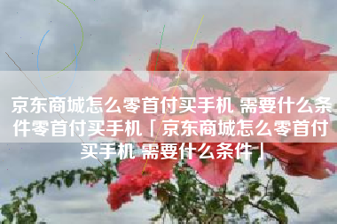 京东商城怎么零首付买手机 需要什么条件零首付买手机「京东商城怎么零首付买手机 需要什么条件」
