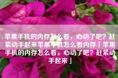 苹果手机的内存怎么看，心动了吧？赶紧动手起来苹果手机怎么看内存「苹果手机的内存怎么看，心动了吧？赶紧动手起来」