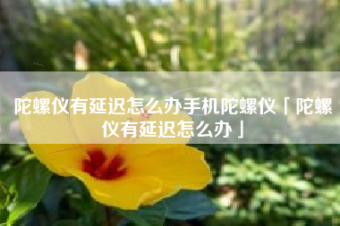陀螺仪有延迟怎么办手机陀螺仪「陀螺仪有延迟怎么办」