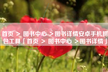 首页 ＞ 图书中心 ＞图书详情安卓手机抓包工具「首页 ＞ 图书中心 ＞图书详情」