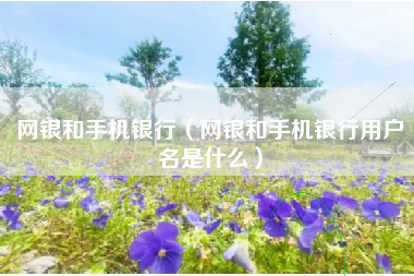 网银和手机银行（网银和手机银行用户名是什么）