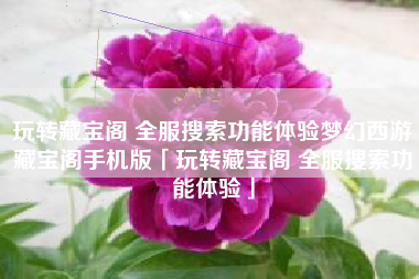 玩转藏宝阁 全服搜索功能体验梦幻西游藏宝阁手机版「玩转藏宝阁 全服搜索功能体验」 玩转藏宝阁 全服搜索功能体验梦幻西游藏宝阁手机版「玩转藏宝阁 全服搜索功能体验」