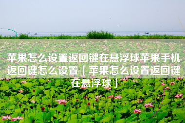 苹果怎么设置返回键在悬浮球苹果手机返回键怎么设置「苹果怎么设置返回键在悬浮球」