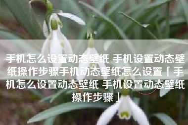 手机怎么设置动态壁纸 手机设置动态壁纸操作步骤手机动态壁纸怎么设置「手机怎么设置动态壁纸 手机设置动态壁纸操作步骤」