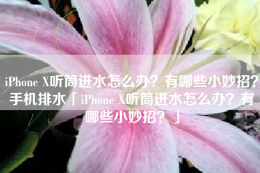 iPhone X听筒进水怎么办？有哪些小妙招？手机排水「iPhone X听筒进水怎么办？有哪些小妙招？」