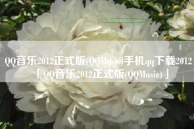 QQ音乐2012正式版(QQMusic)手机qq下载2012「QQ音乐2012正式版(QQMusic)」