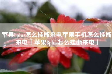苹果8plus怎么挂断来电苹果手机怎么挂断来电「苹果8plus怎么挂断来电」