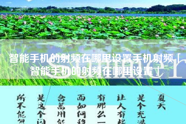 智能手机的射频在哪里设置手机射频「智能手机的射频在哪里设置」