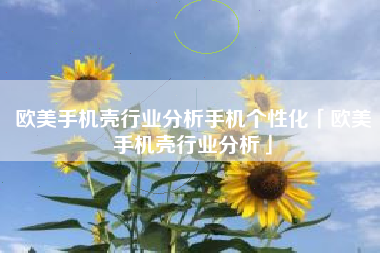 欧美手机壳行业分析手机个性化「欧美手机壳行业分析」