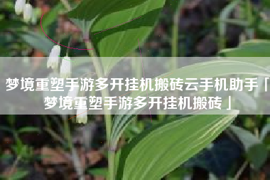 梦境重塑手游多开挂机搬砖云手机助手「梦境重塑手游多开挂机搬砖」