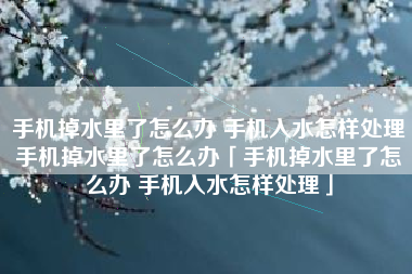 手机掉水里了怎么办 手机入水怎样处理手机掉水里了怎么办「手机掉水里了怎么办 手机入水怎样处理」