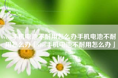 vivo手机电池不耐用怎么办手机电池不耐用怎么办「vivo手机电池不耐用怎么办」