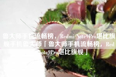 鲁大师手机流畅榜，Redmi Note9Pro堪比旗舰手机鲁大师「鲁大师手机流畅榜，Redmi Note9Pro堪比旗舰」