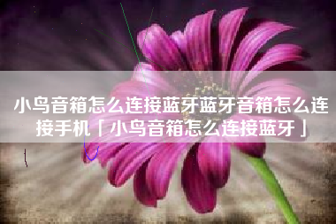 小鸟音箱怎么连接蓝牙蓝牙音箱怎么连接手机「小鸟音箱怎么连接蓝牙」