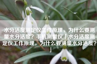 水分活度测定仪工作原理，为什么要测量水分活度？手机测量仪「水分活度测定仪工作原理，为什么要测量水分活度？」