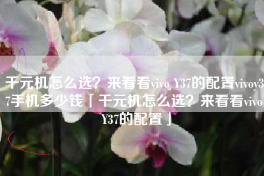 千元机怎么选？来看看vivo Y37的配置vivoy37手机多少钱「千元机怎么选？来看看vivo Y37的配置」