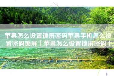 苹果怎么设置锁屏密码苹果手机怎么设置密码锁屏「苹果怎么设置锁屏密码」