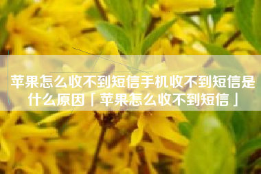 苹果怎么收不到短信手机收不到短信是什么原因「苹果怎么收不到短信」