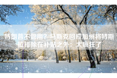 特朗普不管用？马斯克回应加州将特斯拉排除在补贴之外：太疯狂了