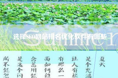 选择SEO网站排名优化软件有哪些